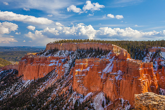 Springtime At Bryce Canyon