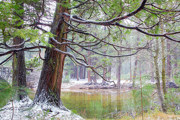 Yosemite Valley Winter Splendor