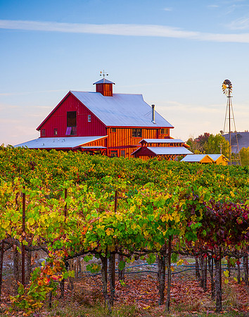 Red Barn Napa Harvest