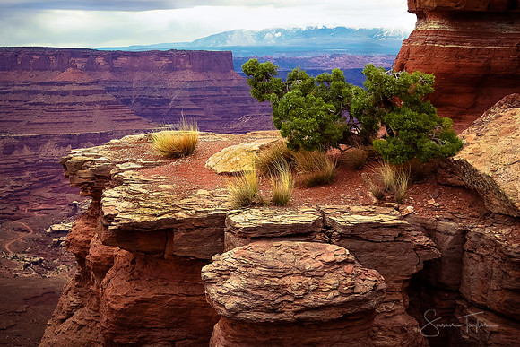 Canyonlands Cliff