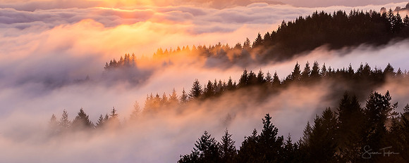 Mount Tamalpais Sunset Mist Panorama