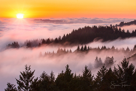 Bolinas Ridge Foggy Sunset