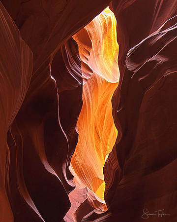 Slot Canyon Vision