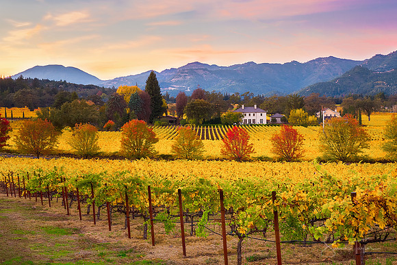 Napa Valley Autumn Sunset