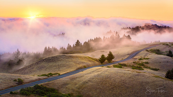 California Coastal Fog Journey
