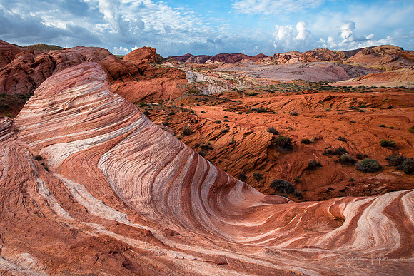 The Wave - Valley of Fire