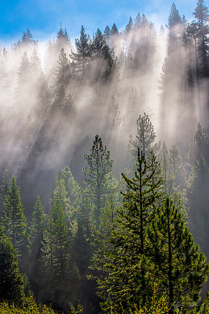 Lake Tahoe Mountain Mist