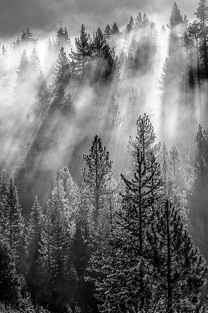 Lake Tahoe Mountain Mist(B&W)