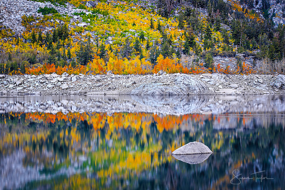 Sierra Nevada Autumn Reflection