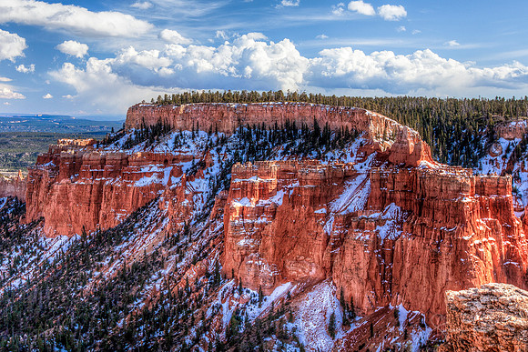 Early Spring at Bryce