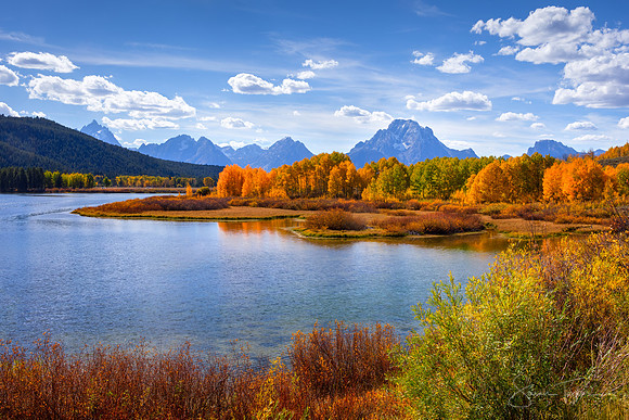 Fall Day At Oxbow Bend