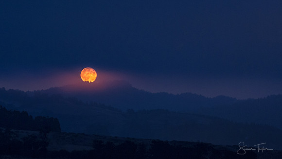 2014 Harvest Supermoon