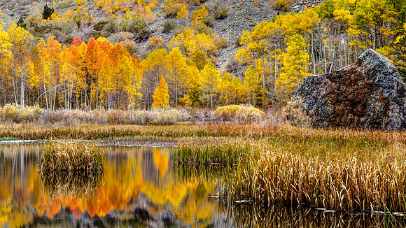 Sierra Nevada Autumn Wilderness