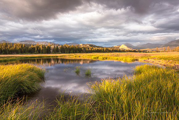 Yosemite Tuolumne Meadows