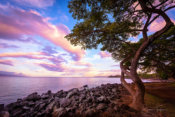 Maui Sunrise