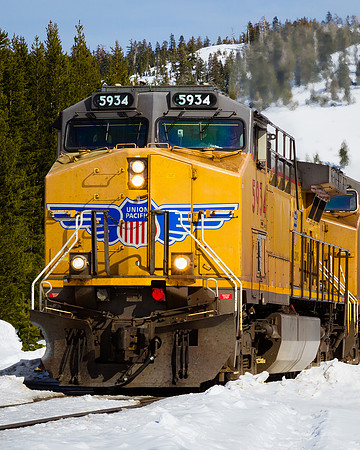 Sierra Nevada Freight Train