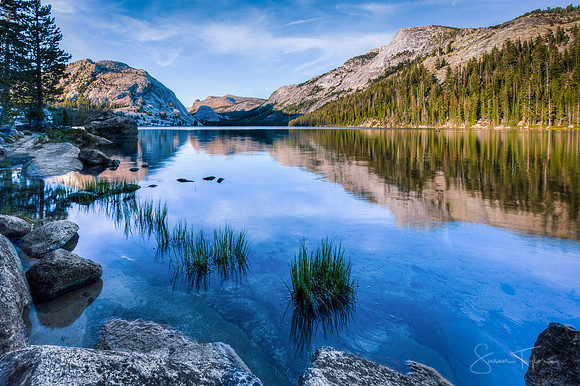 Tranquil Tenaya Lake - Yosemite