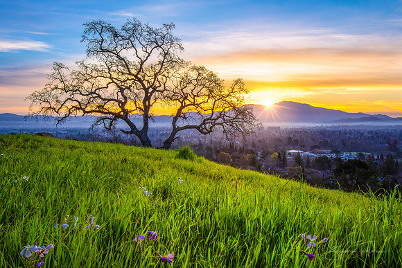 Mount Diablo and East Bay Area Hills Sunrise