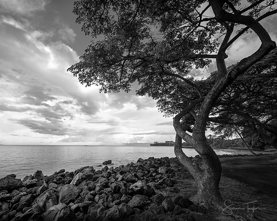 Maui Sunrise, Black & White