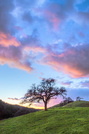 Mount Diablo Winter Sunset