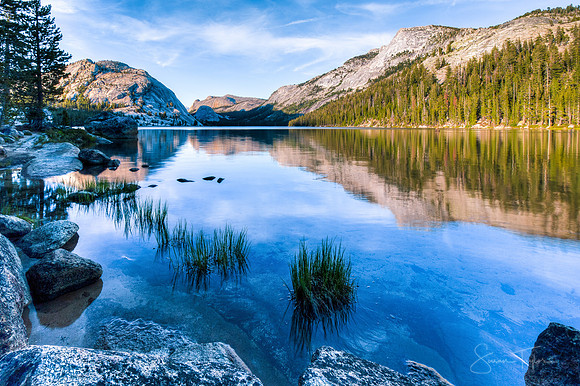 Tranquil Tenaya Lake  - Yosemite