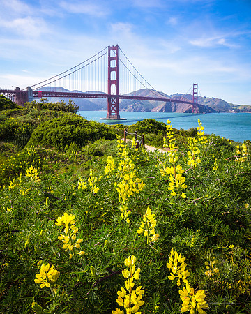 Springtime in San Francisco