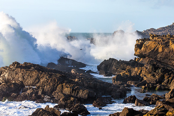 Sonoma Coast Winter Waves