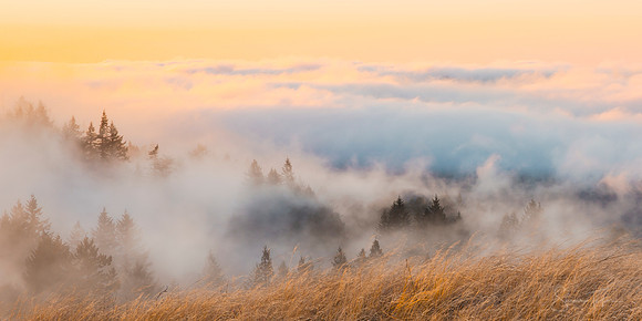 Gentleness Speaks