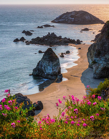 Rocky Oregon Coast