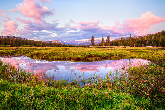Tuolumne Meadows Sunset Delight