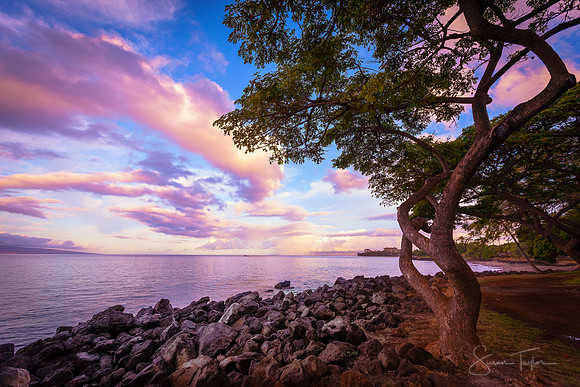 Maui Sunrise