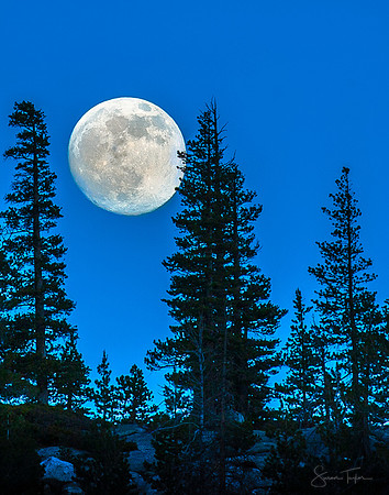 Supermoon 2013 Over Yosemite