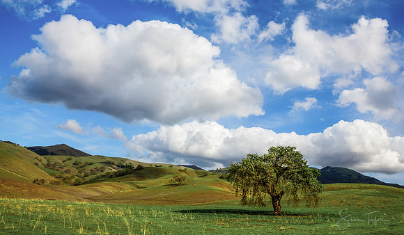 Clouds - Mount Diablo