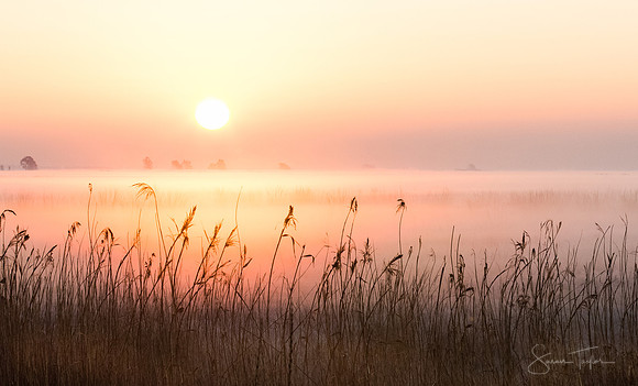 Bay Area Winter Sunrise