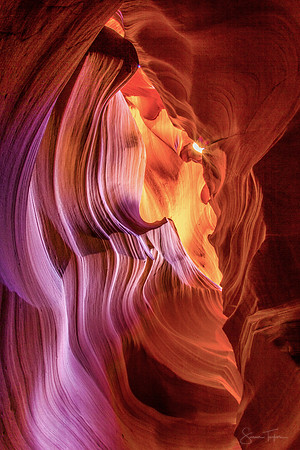Slot Canyon Curves