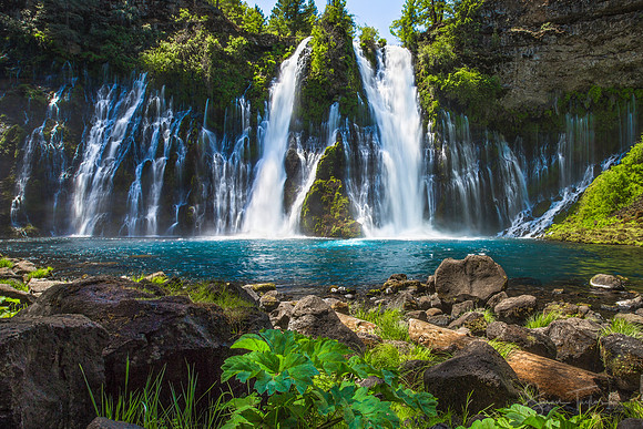 Burney Falls Delight