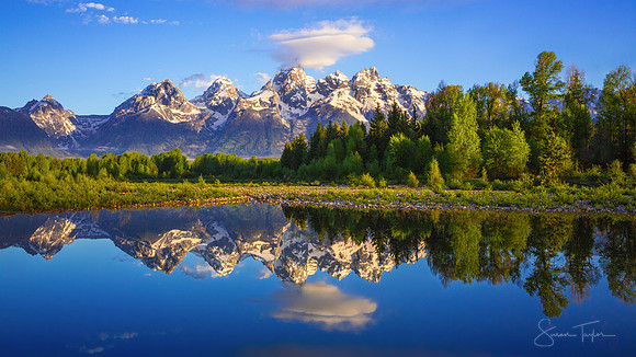 Teton Reflection