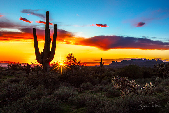 Arizona Sunset
