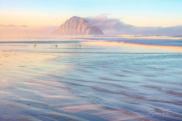 Morro Strand State Beach Sunrise