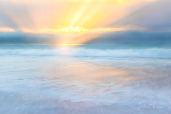 Pacific Coast Serenity, Carmel