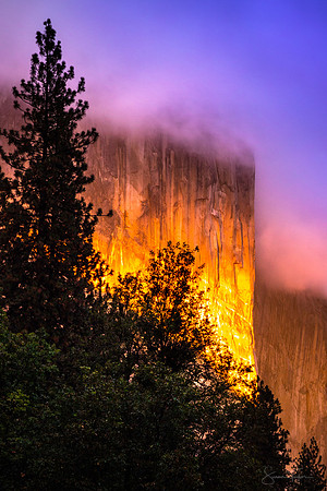 Mystic Glow, Yosemite National Park
