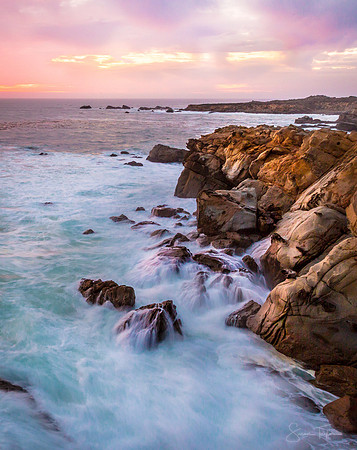 Salt Point Evening