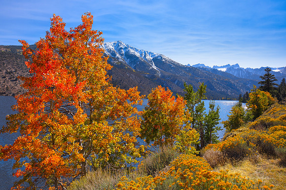 Autumn At Twin Lakes, Eastern Sierra