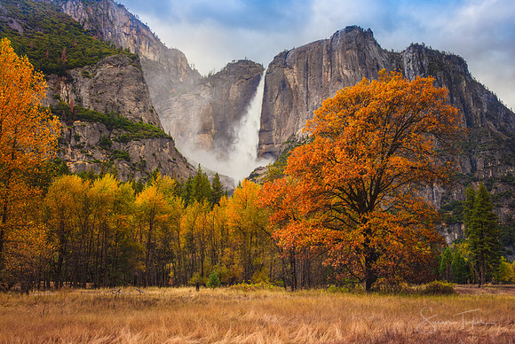 Autumn Glory, Yosemite National Park
