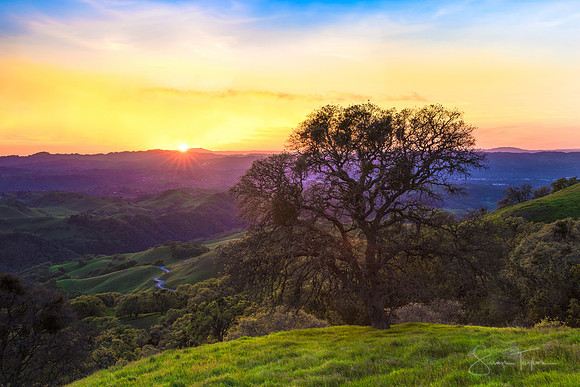 San Francisco Bay Area Sunset, Mount Diablo State Park