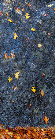 Fall Morning in Yosemite Valley