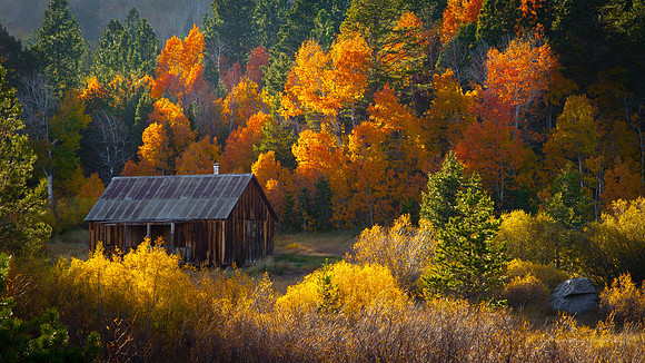 Hope Valley Fall Colors Festival
