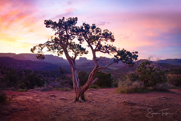 Sedona Sunrise
