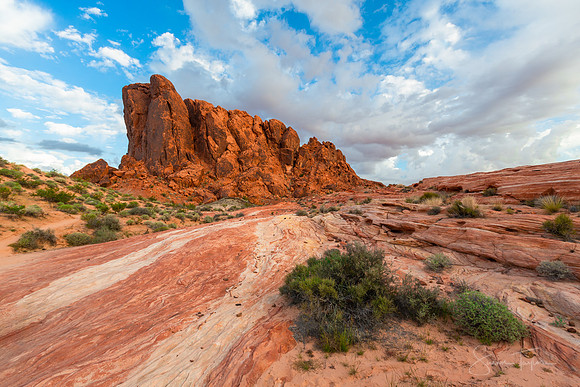 Valley of Fire Racetrack