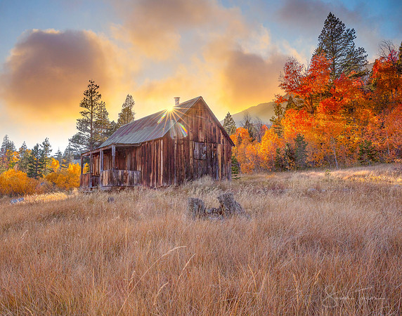 Golden California Fall Cabin Sunset